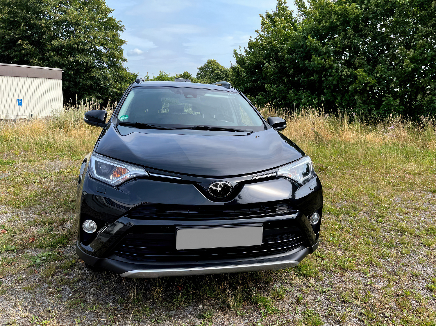 Toyota RAV 4 Дорест Черны